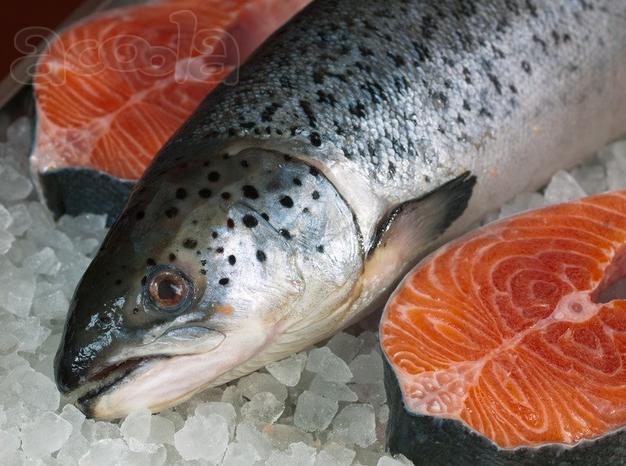 Форель, сёмга, рыба, морепродукты